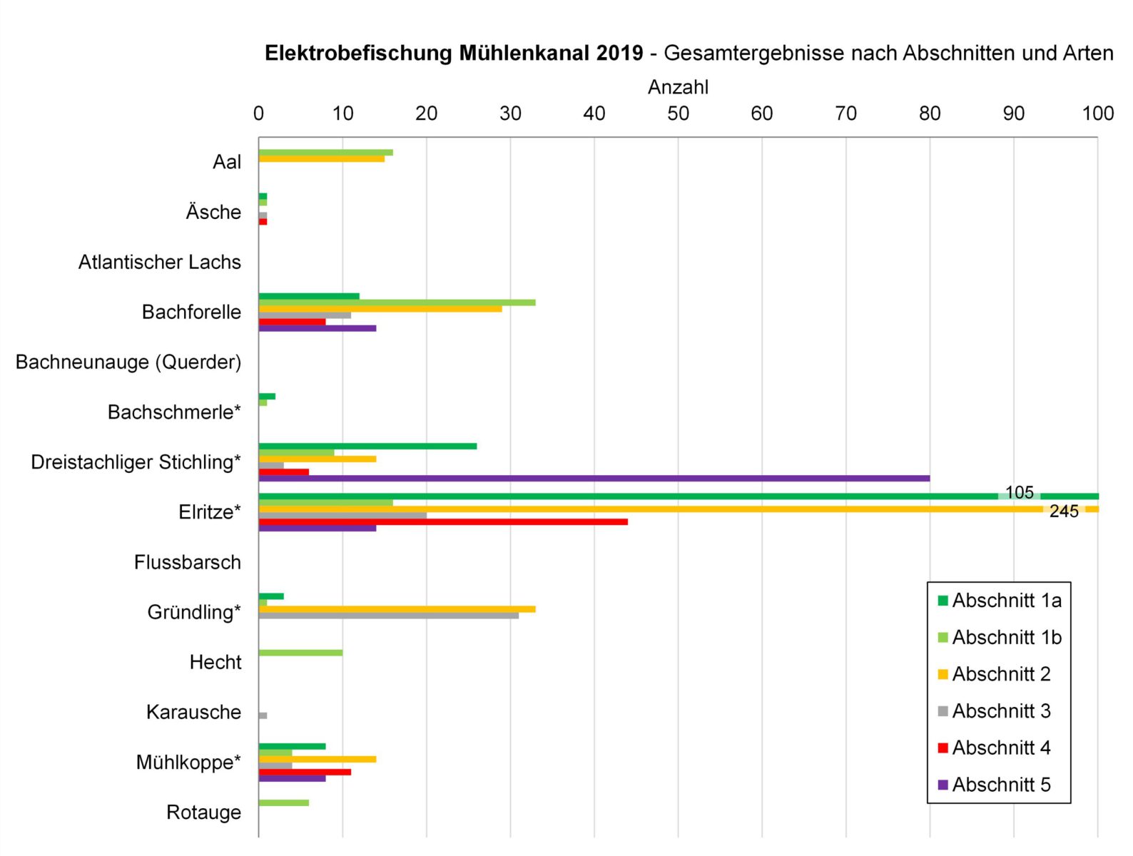 Ergebnisse 2019