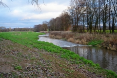 Oberer Abschnitt der ehem. Ausbaustrecke südlich von Einbeck, nach der Umgestaltung 2018 (Bildrechte: R. Eikenberg | Fischereiverein Einbeck e.V.)