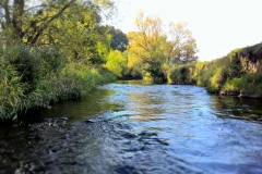 Naturnaher Abschnitt der Ilme (Bildrechte: R. Eikenberg | Fischereiverein Einbeck e.V.)