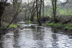 Krummes Wasser oberhalb von Kuventhal (Bildrechte: R. Eikenberg | Fischereiverein Einbeck e.V.)