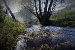 Herbst am Krummen Wasser bei Kuventhal (Bildrechte: R. Eikenberg | Fischereiverein Einbeck e.V.)