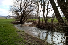 Krummes Wasser bei der "Ölmühle" Rießwarte (Bildrechte: R. Eikenberg | Fischereiverein Einbeck e.V.)