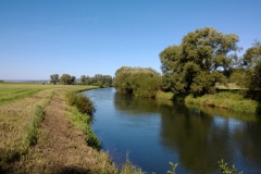 Ausgebaute Leine im Hochwasserrückhaltebecken (Höhe Drüber/Stöckheim, Bildrechte: R. Eikenberg | Fischereiverein Einbeck e.V.)