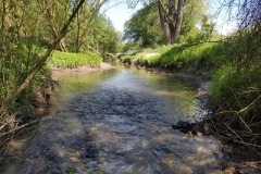 Mühlenkanal am Butterberg (Bildrechte: R. Eikenberg | Fischereiverein Einbeck e.V.)