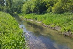 Mühlenkanal am Butterberg (Bildrechte: R. Eikenberg | Fischereiverein Einbeck e.V.)