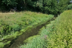Mühlenkanal kurz vor der Mündung in die Ilme (Bildrechte: R. Eikenberg | Fischereiverein Einbeck e.V.)
