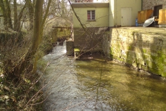 Mühlenkanal bei der Feuerwehrtechnischen Zentrale, ehem. "Mittlere Mühle" (Bildrechte: R. Eikenberg | Fischereiverein Einbeck e.V.)