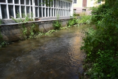 Mühlenkanal am Mühlenwall (Bildrechte: R. Eikenberg | Fischereiverein Einbeck e.V.)