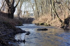 Mühlenkanal unterhalb der Schlachthofstraße (Bildrechte: R. Eikenberg | Fischereiverein Einbeck e.V.)