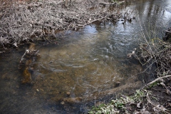 Beidseitige Einengung bei erhöhtem Durchfluss
