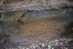 Strömungslenker und Kiesbank bei erhöhtem Durchfluss