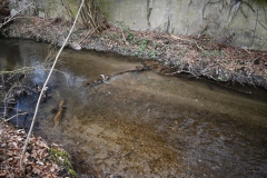 Strömungslenker und Kiesbank bei erhöhtem Durchfluss