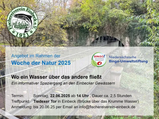 Eine Exkursion an die kleinen aber feinen Fließ- und Stillgewässer in der Stadt mit allerhand spannenden Infos aus erster Hand zu den schuppigen, gefiederten und behaarten Bewohnern 🌊🐟🦞🦆🦫🦦🐛🌊 Dauer ca. zwei Stunden, festes Schuhwerk wird empfohlen. Bei Dauerregen fällt die Veranstaltung leider aus. Anmeldung erbeten: Bitte bis zum 20.06. an info@fischereiverein-einbeck.de #bingoumweltstiftung #einbeckerangler #angelnistmehr #amwasser #umweltbildung #wasser #water #wochedernatur2025 #einbeck @bingo.umweltstiftung